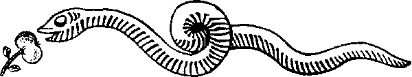Bildo de M.Ba¼enova